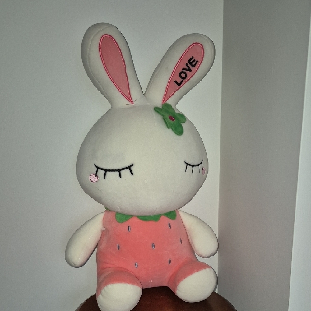 Adorable Pink and White Bunny Plush Toy